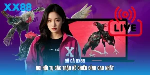 Đá Gà XX88 | Nơi Hội Tụ Các Trận Kê Chiến Đỉnh Cao Nhất