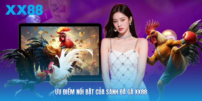 Ưu điểm nổi bật của sảnh đá gà XX88